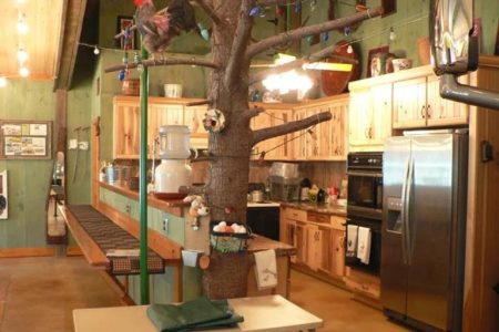 TIMBERCRAFT BUILDING KITCHEN AREA INTERIOR